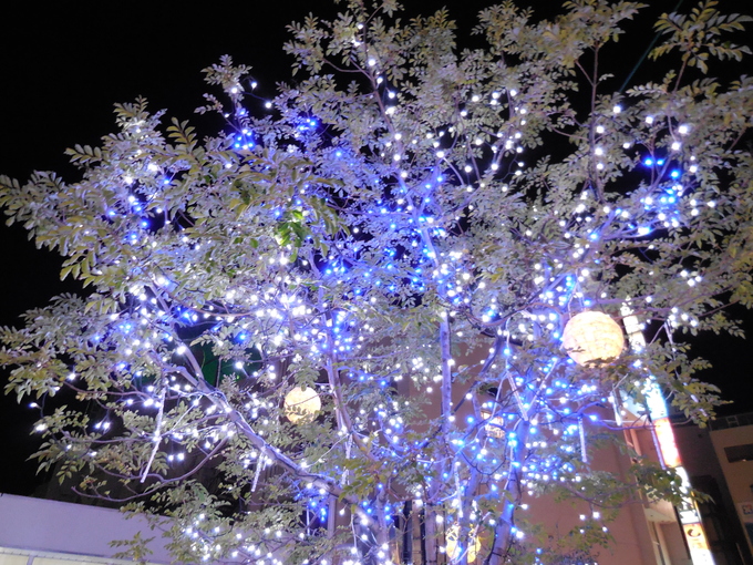 b0286966_22561243.jpg