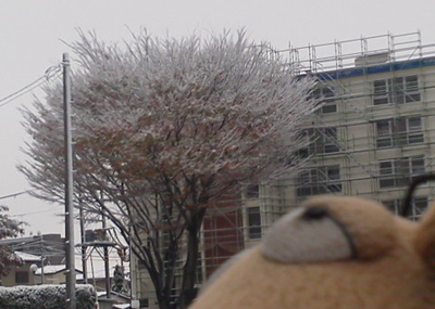 c0158573_10174616.jpg