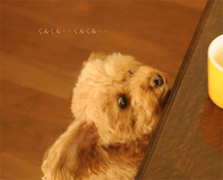 c0196673_9304993.gif