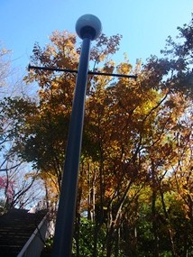 f0148183_21394265.jpg