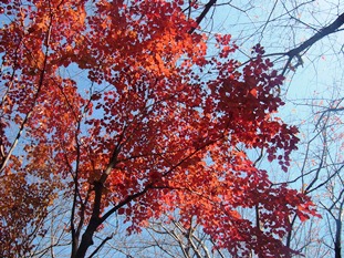 f0148183_2141517.jpg