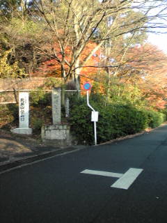 b0206784_1731381.jpg