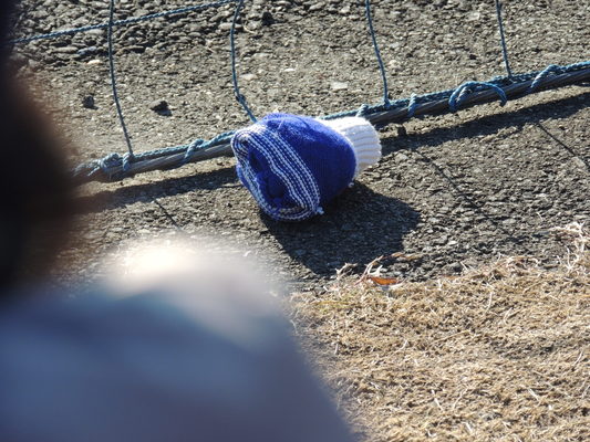 c0068891_1814519.jpg