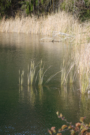 f0222692_19294217.jpg