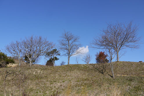 f0222692_19303947.jpg