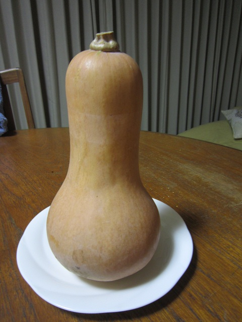 a0194593_6444857.jpg