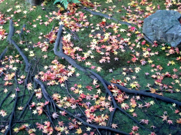 c0100195_1145138.jpg