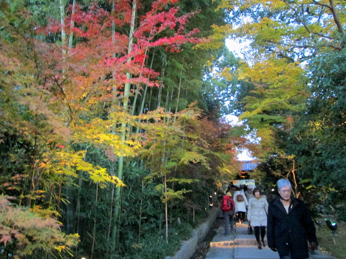 c0100195_11474614.jpg