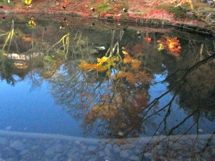 c0100195_11521121.jpg