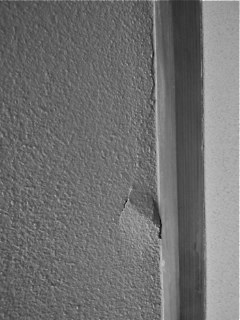 a0199297_2319438.jpg