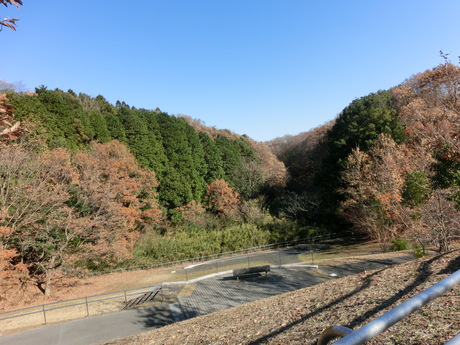d0262797_21262836.jpg