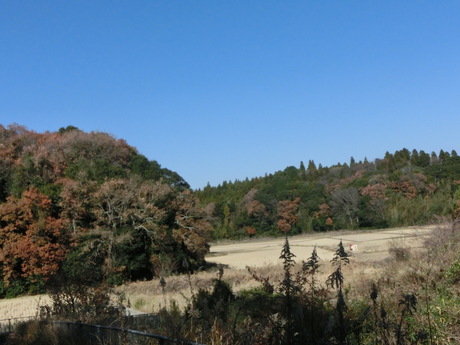 d0262797_2133827.jpg