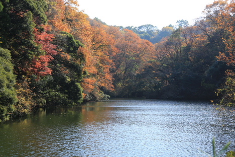 b0275998_23331466.jpg