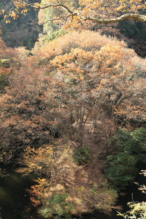 b0275998_23404221.jpg