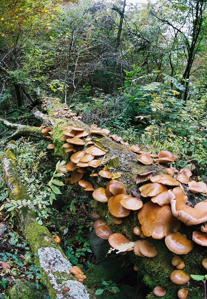 f0220698_1721445.jpg