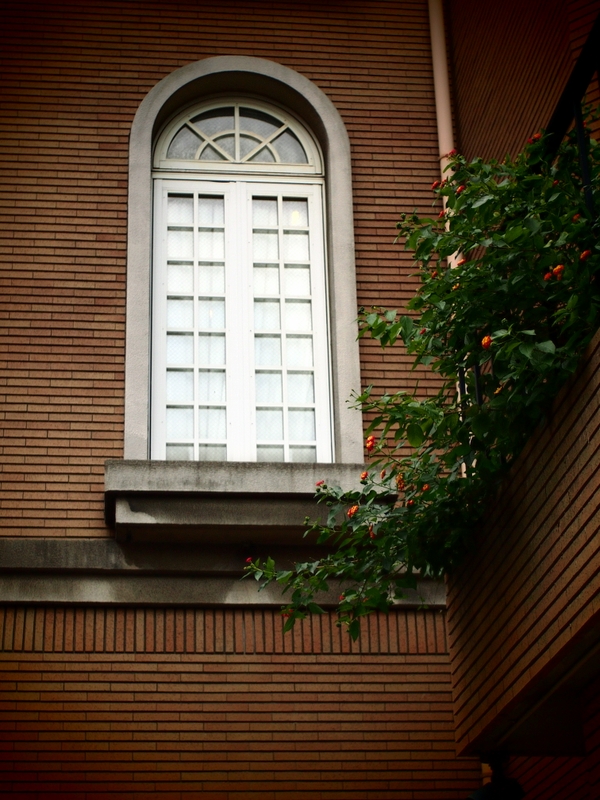 b0138101_21542619.jpg