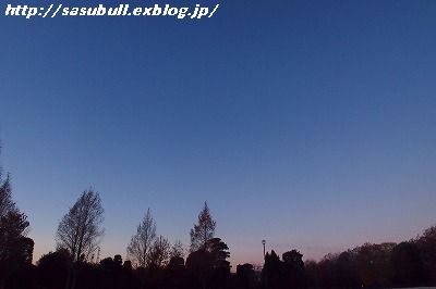 e0145805_212233.jpg