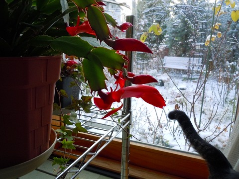 c0117007_17573883.jpg