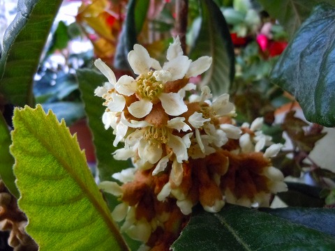 c0117007_17595042.jpg
