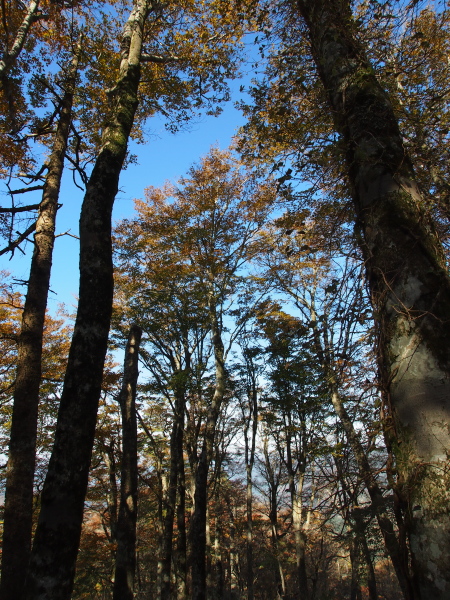 b0244811_23305795.jpg