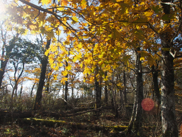 b0244811_23312396.jpg