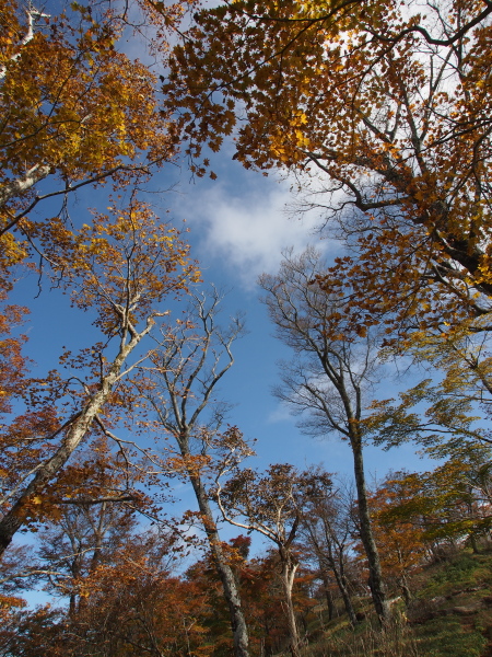 b0244811_23315370.jpg