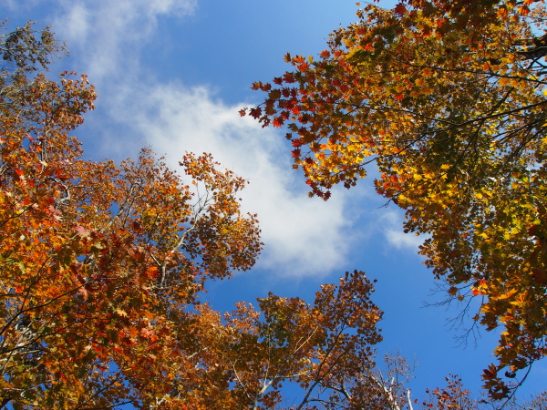 b0244811_233233100.jpg