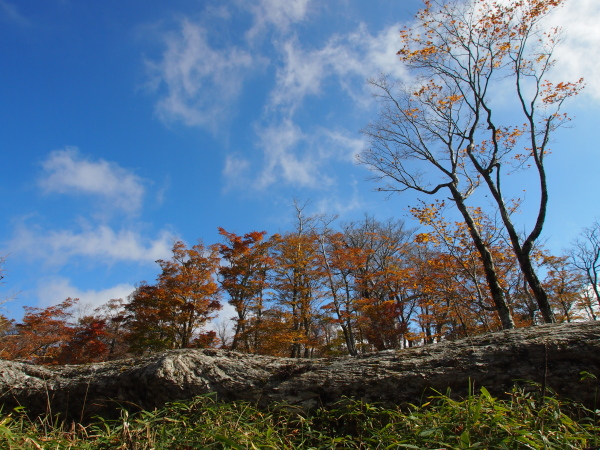 b0244811_2333245.jpg