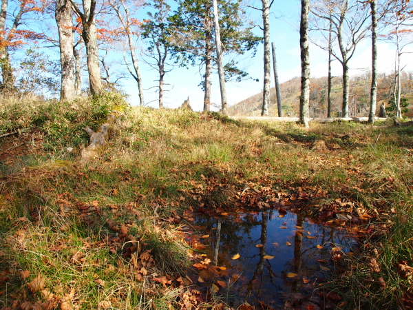 b0244811_233508.jpg