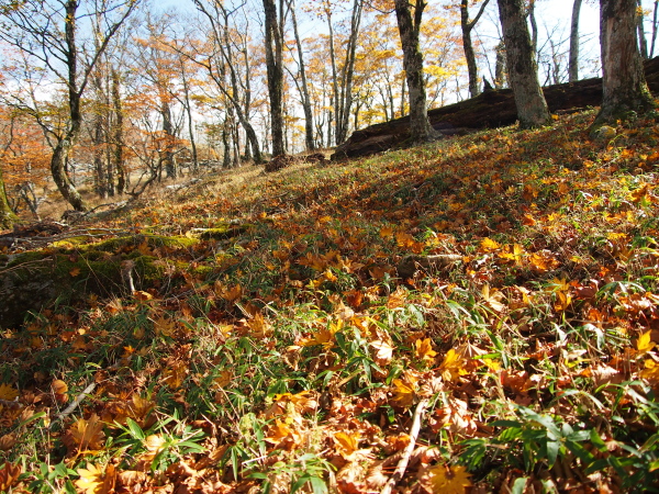 b0244811_2343386.jpg