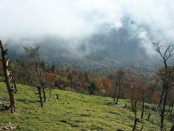 b0244811_23442622.jpg