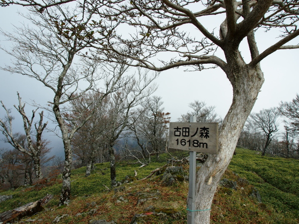 b0244811_23451626.jpg