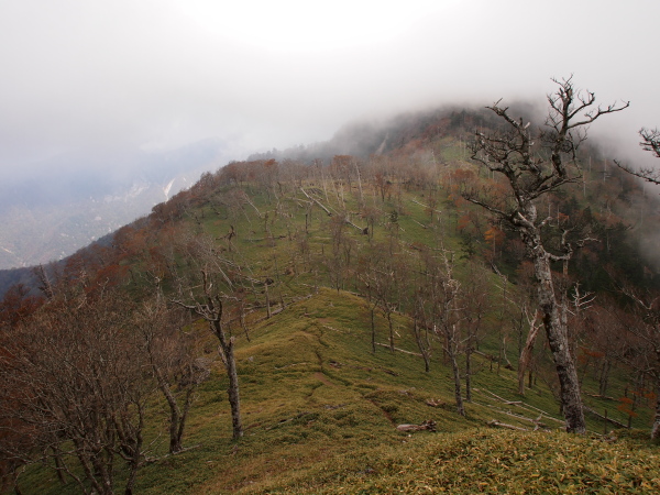 b0244811_2347364.jpg