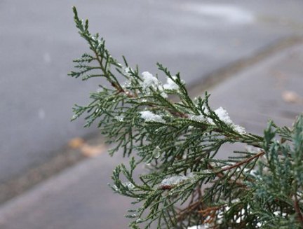 c0247614_1636254.jpg