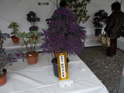 f0111128_029224.jpg