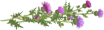c0123031_16372679.gif