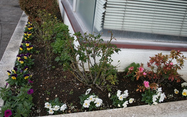 f0042737_1433118.jpg