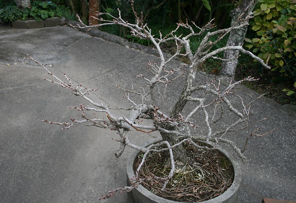 f0042737_14473927.jpg