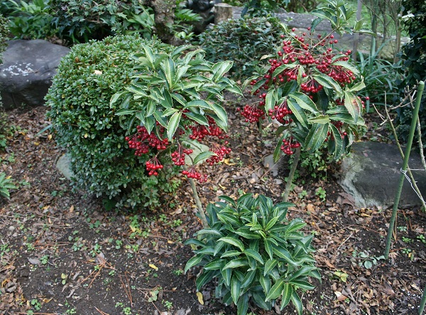 f0042737_14492258.jpg