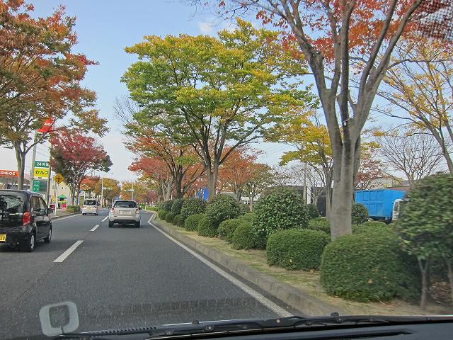 a0242438_22303491.jpg