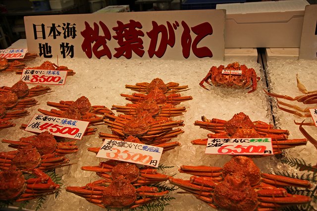 a0242438_22355426.jpg