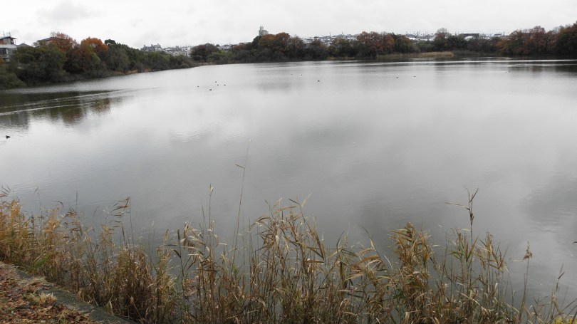 c0172139_2321257.jpg
