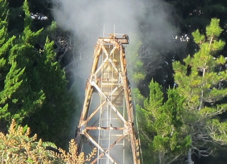 d0167041_1564342.jpg
