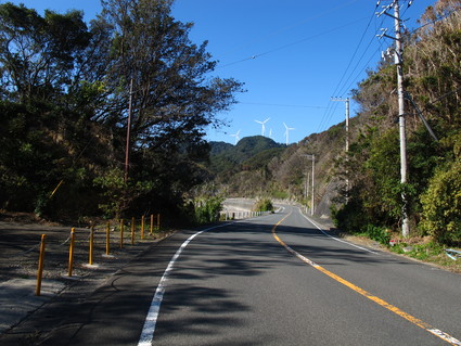 d0167041_255051.jpg