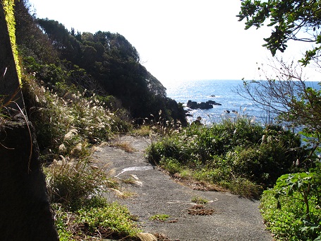 d0167041_321229.jpg
