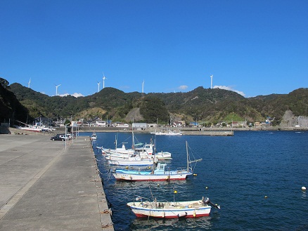 d0167041_375534.jpg