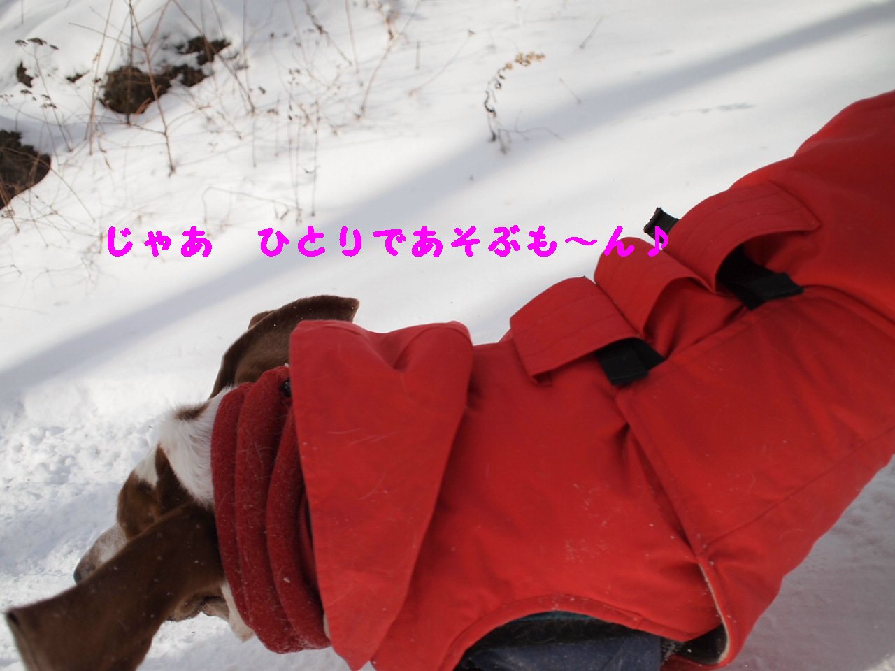 a0299945_21251191.jpg
