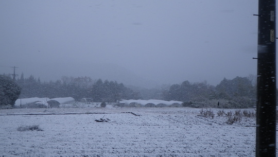 c0042847_927561.jpg