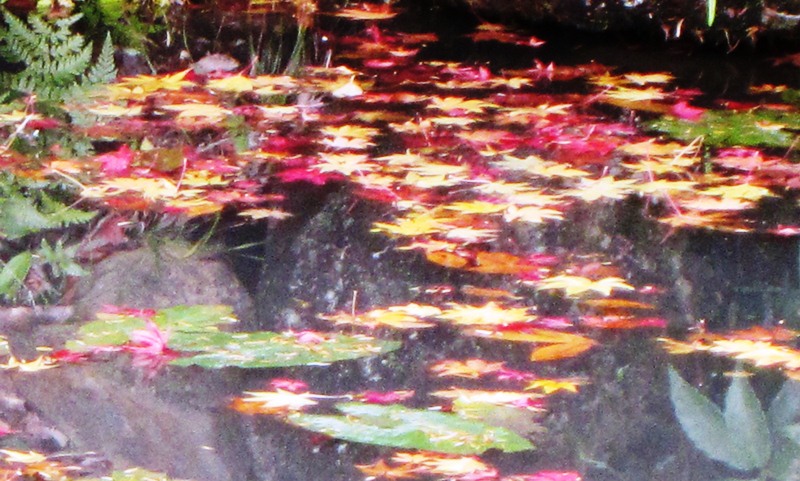 b0289649_20443351.jpg