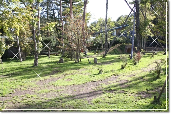 d0013149_23291619.jpg